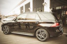 Диски 166 AMG