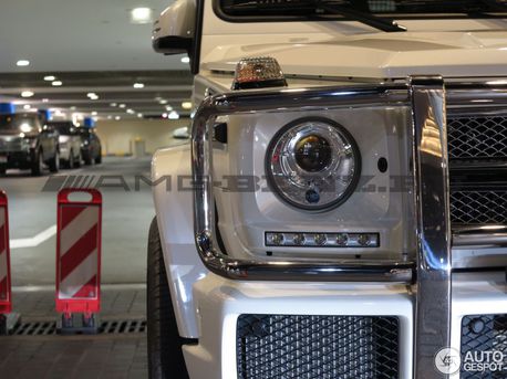 Кенгурятик W463 G63 AMG