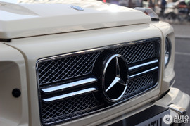 Решетка радиатора G65