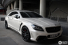 Аэродинамический Комплект WALD SPORT LINE BLACK BISON W218